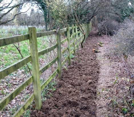 Hedge trench